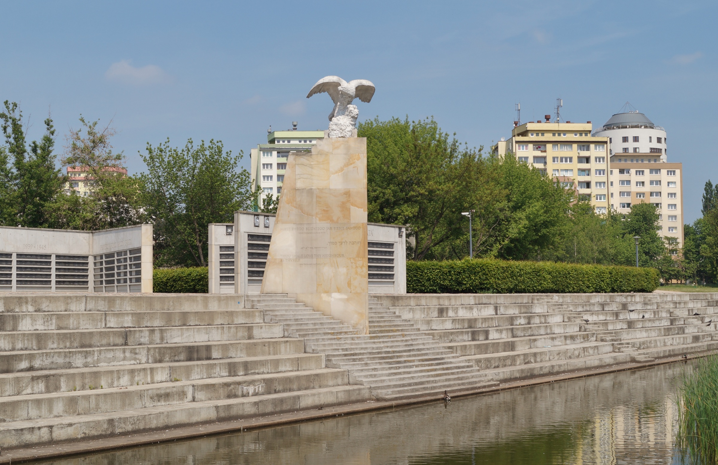 Znalazł drzewa, które miały nie istnieć. To świadkowie tragicznej historii