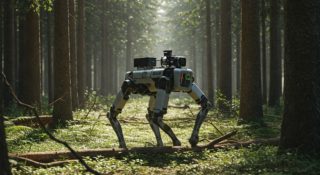 Polacy tworzą robota, który będzie badał las. Policzy drzewa i zbierze kleszcze