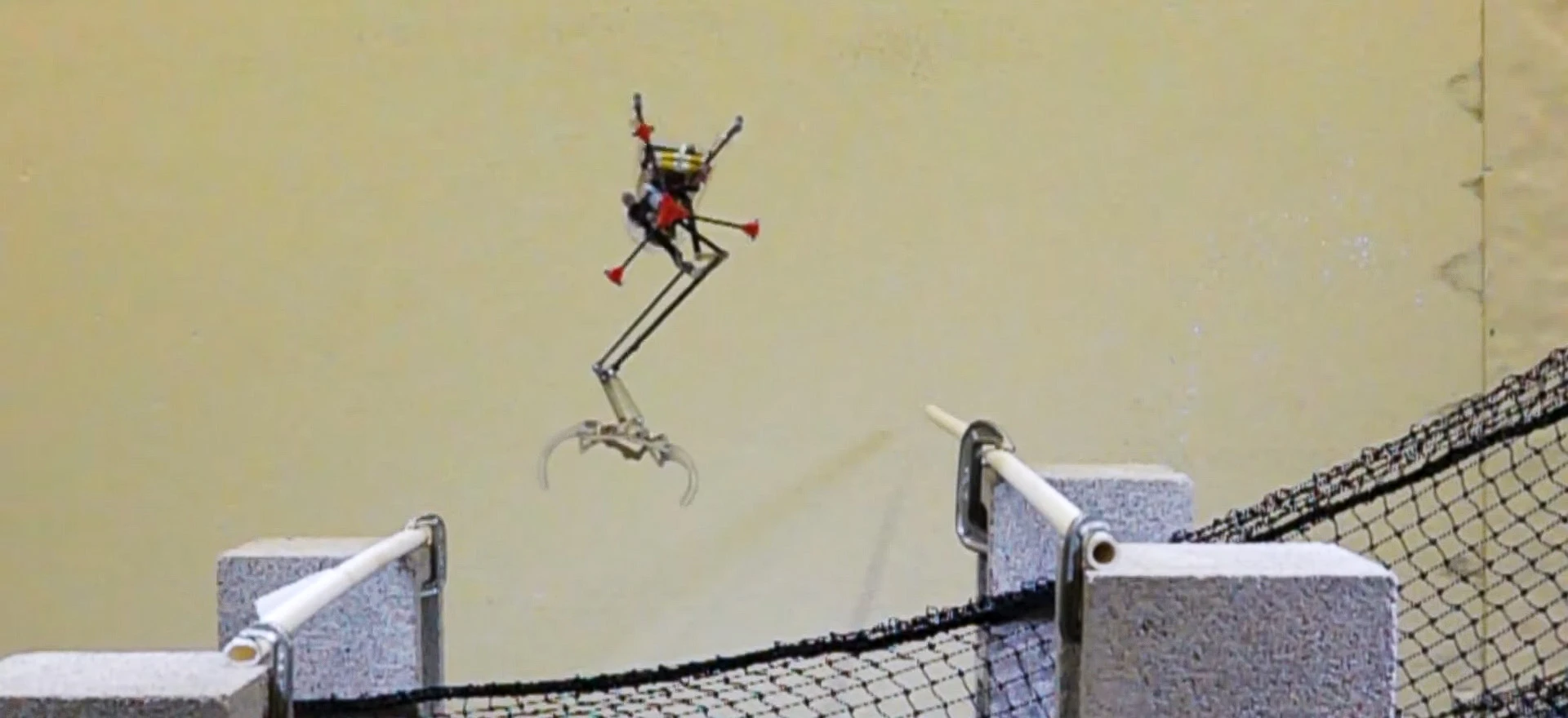 Ten robot zawstydzi wszystkie wiewiórki w parku - i w kosmosie. Naukowcy stworzyli coś niesamowitego