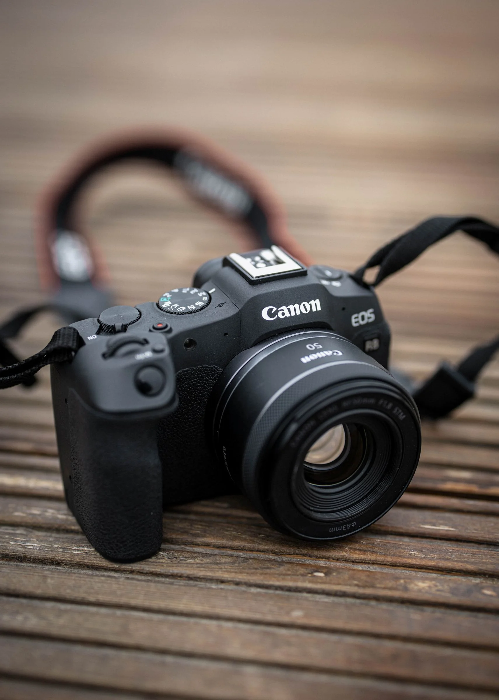 https://ocs-pl.oktawave.com/v1/AUTH_2887234e-384a-4873-8bc5-405211db13a2/spidersweb/2025/04/Canon-EOS-R8-1.jpg