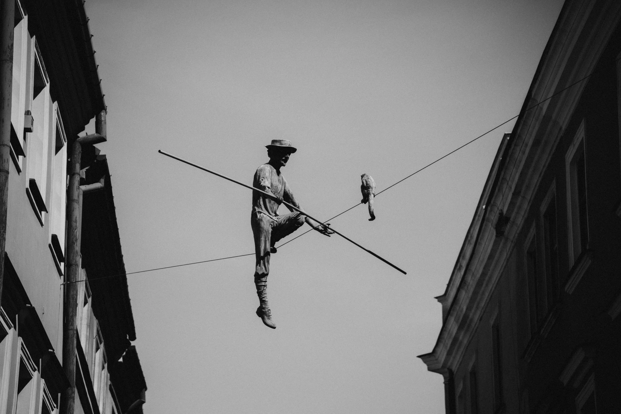 Canon R8, ISO-100, 105 mm, f/2.8, 1/4000 s., zdjęcie obrobione