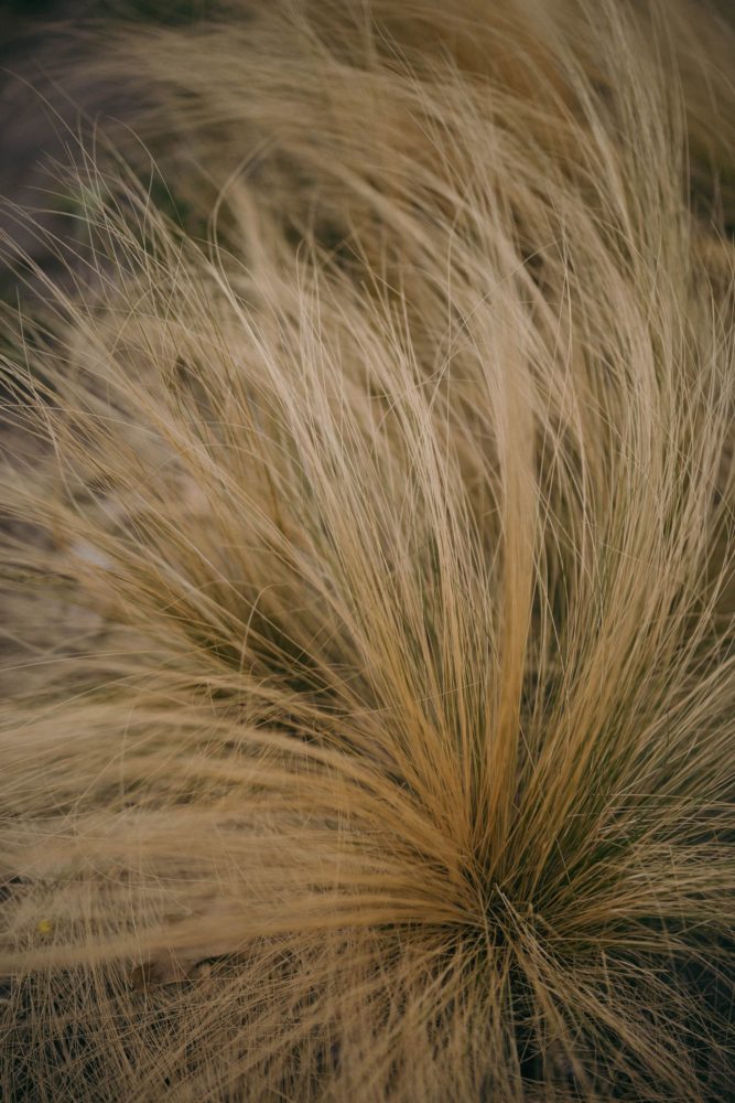 Canon R8, ISO-200, 50mm, f/1.4, 1/800s., zdjęcie obrobione