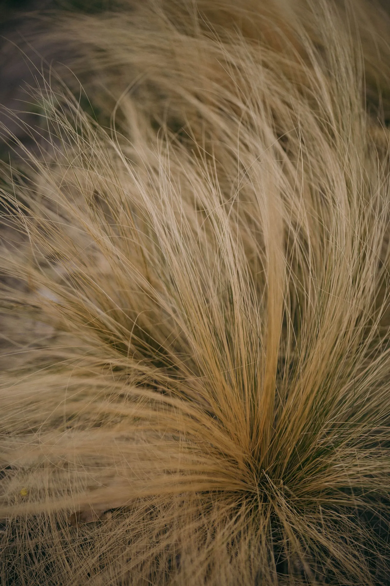 Canon R8, ISO-200, 50mm, f/1.4, 1/800s., zdjęcie obrobione