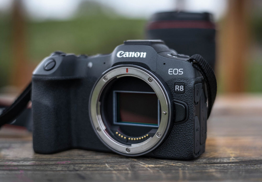 https://ocs-pl.oktawave.com/v1/AUTH_2887234e-384a-4873-8bc5-405211db13a2/spidersweb/2025/04/Canon-EOS-R8-32-1-1000x698.jpg