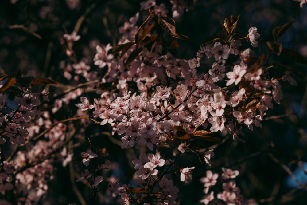 Canon R8, ISO-100, 105 mm, f/7.1, 320 s., zdjęcie obrobione