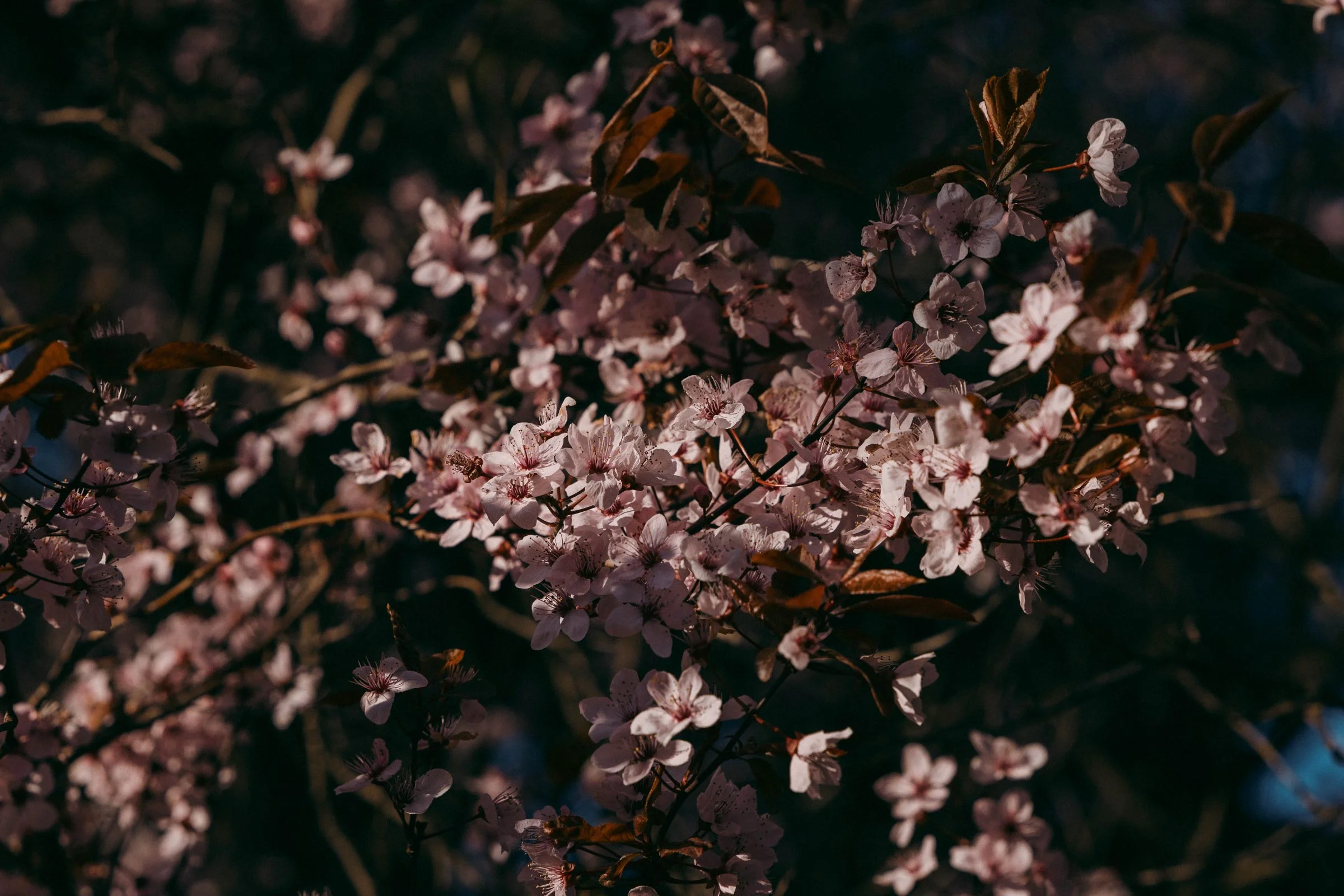 Canon R8, ISO-100, 105 mm, f/7.1, 320 s., zdjęcie obrobione