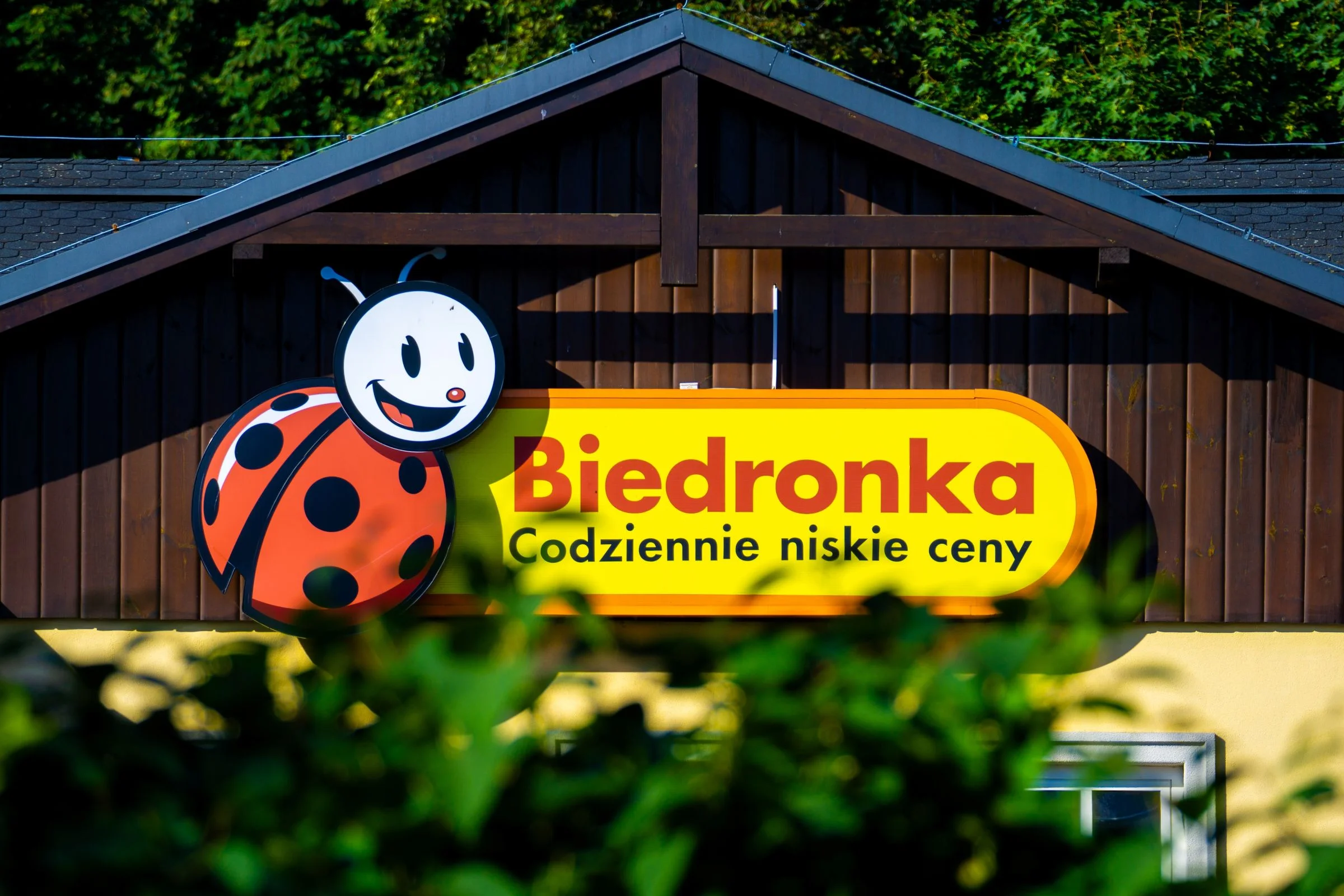 Dreame Mova K10 na promocji w Biedronce. Przyda się nie tylko przed świętami