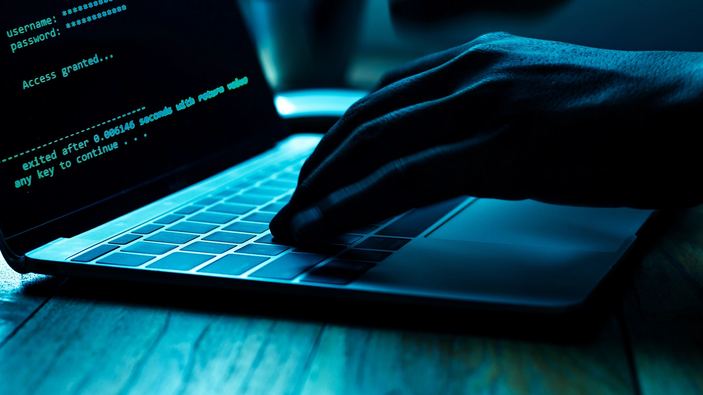Cyberatak na biura polityków PO. Minister wskazuje winnych i uspokaja 