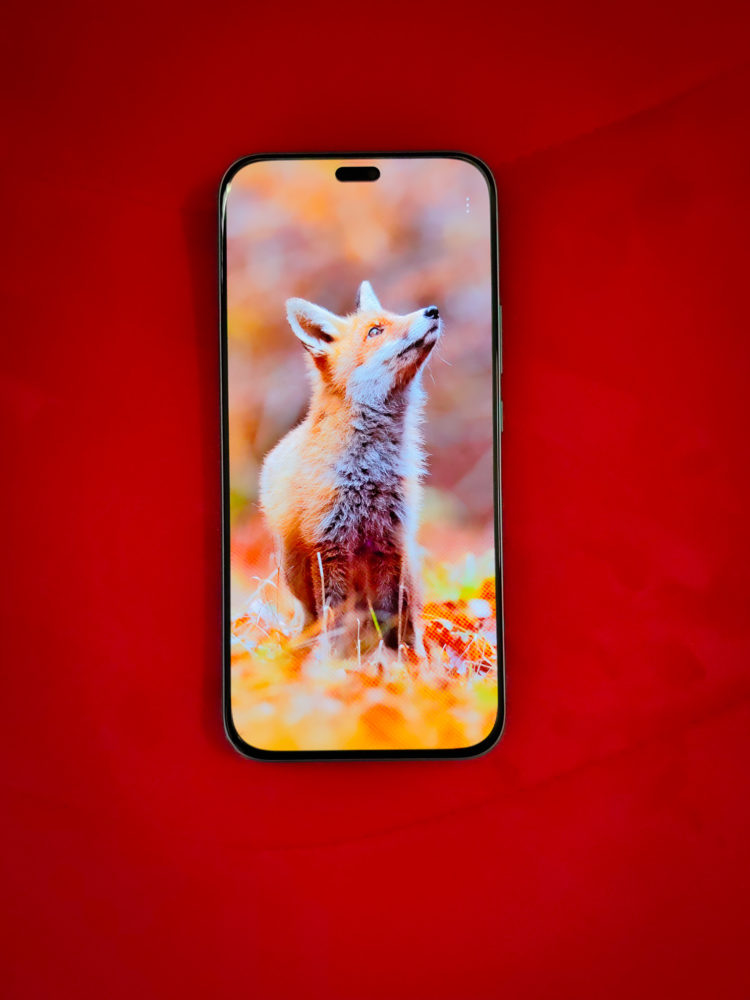 https://ocs-pl.oktawave.com/v1/AUTH_2887234e-384a-4873-8bc5-405211db13a2/spidersweb/2025/04/honor400lite-5-750x1000.jpg