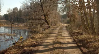 Jest klimatyczne podsumowanie marca. Polska na rekordowym kursie