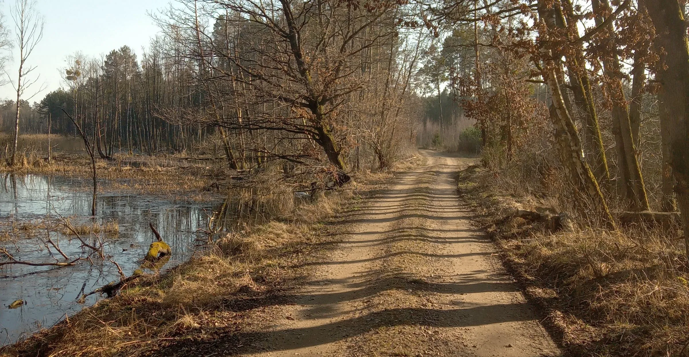Jest klimatyczne podsumowanie marca. Polska na rekordowym kursie