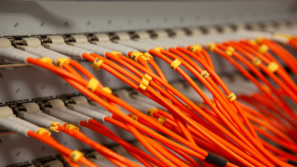 Ruch o sile 1,3 Tbps uderzył w infrastrukturę polskiej firmy. Rekordowy atak został zatrzymany przez CERT Orange Polska