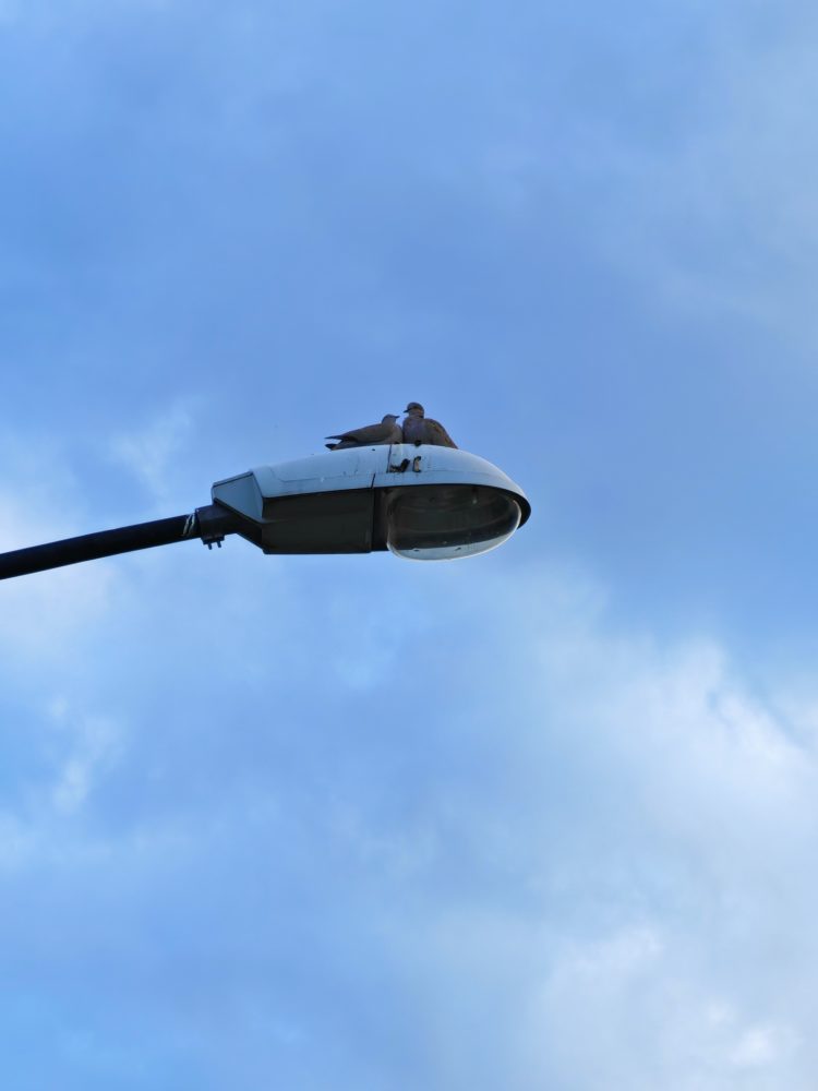 x6