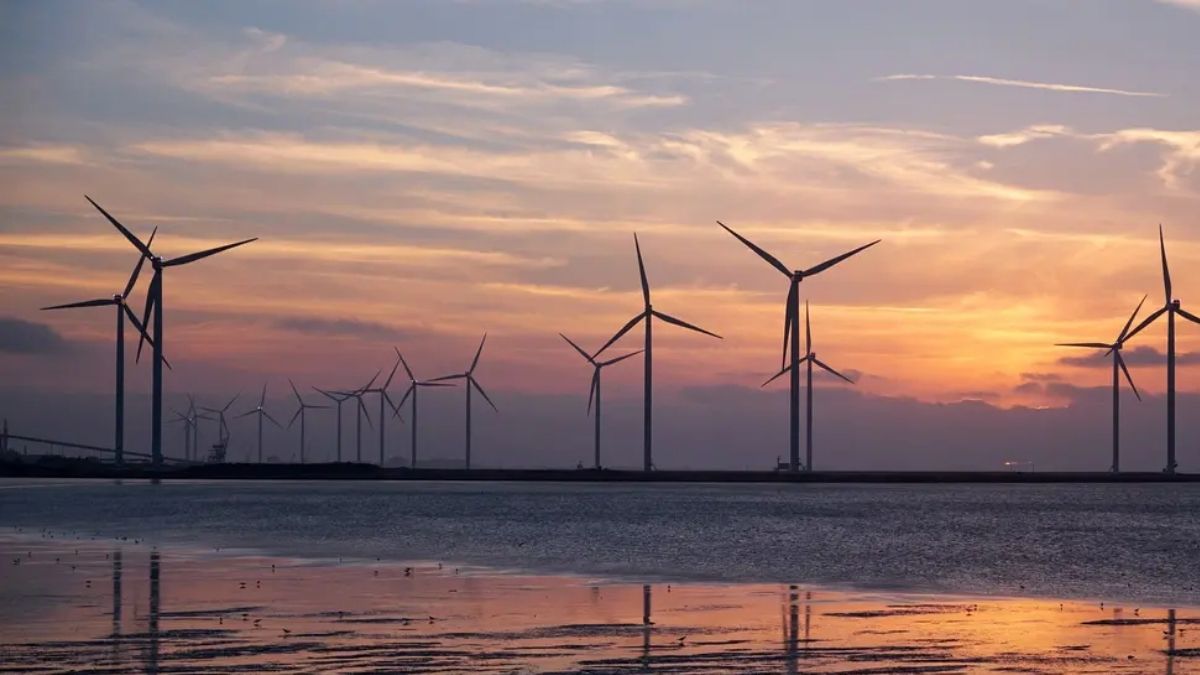 Kradzież wiatru? Sektor energetyki wiatrowej naprawdę ma się czego obawiać