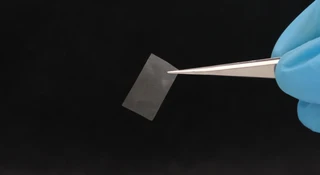 Wracasz ze sklepu i jesz reklamówkę. Powstaje torba z grzyba