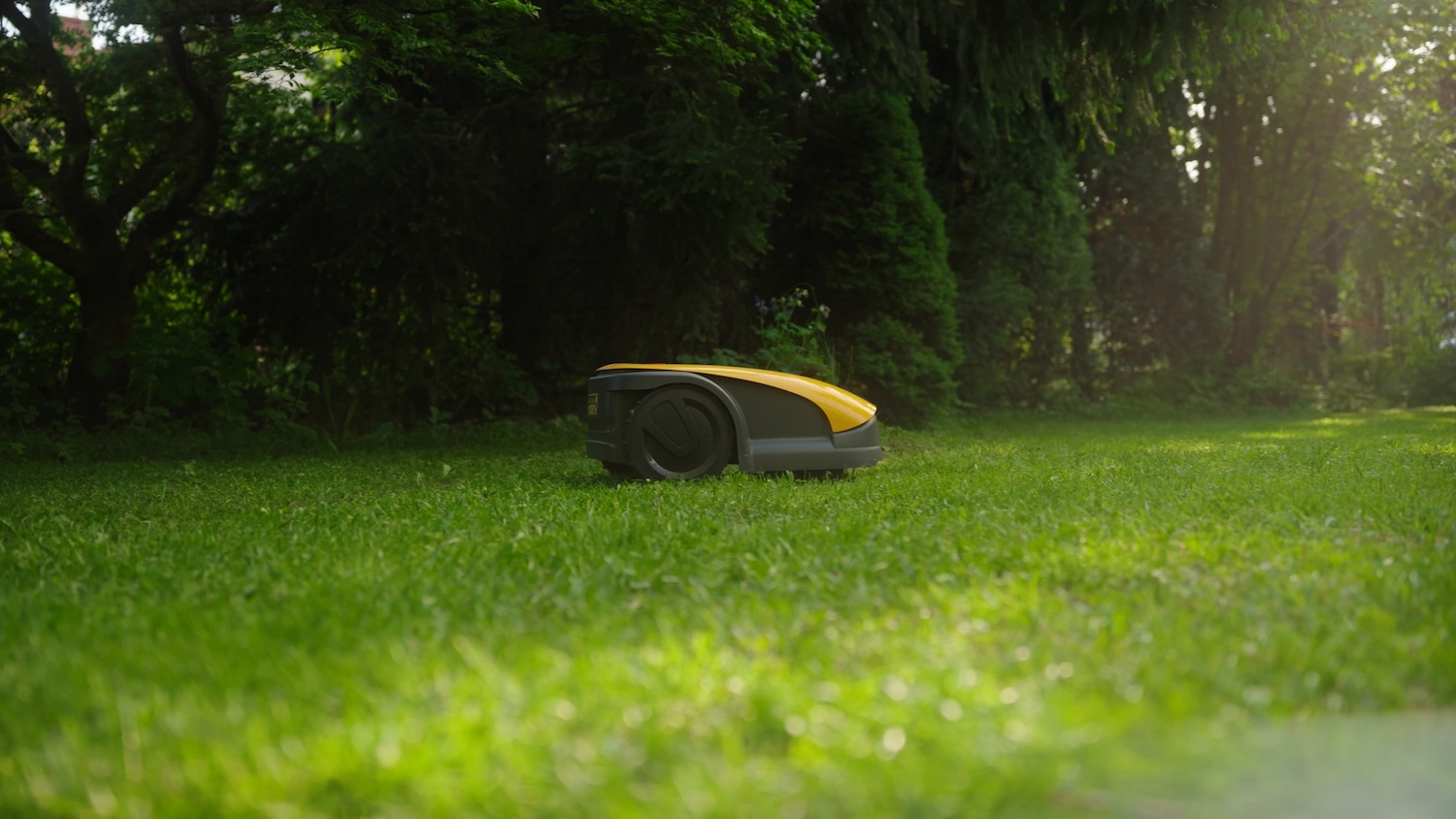 Bez tego sprzętu nie wyobrażam sobie już mojego ogrodu. 9 powodów, dla których robot koszący zostaje u mnie na stałe