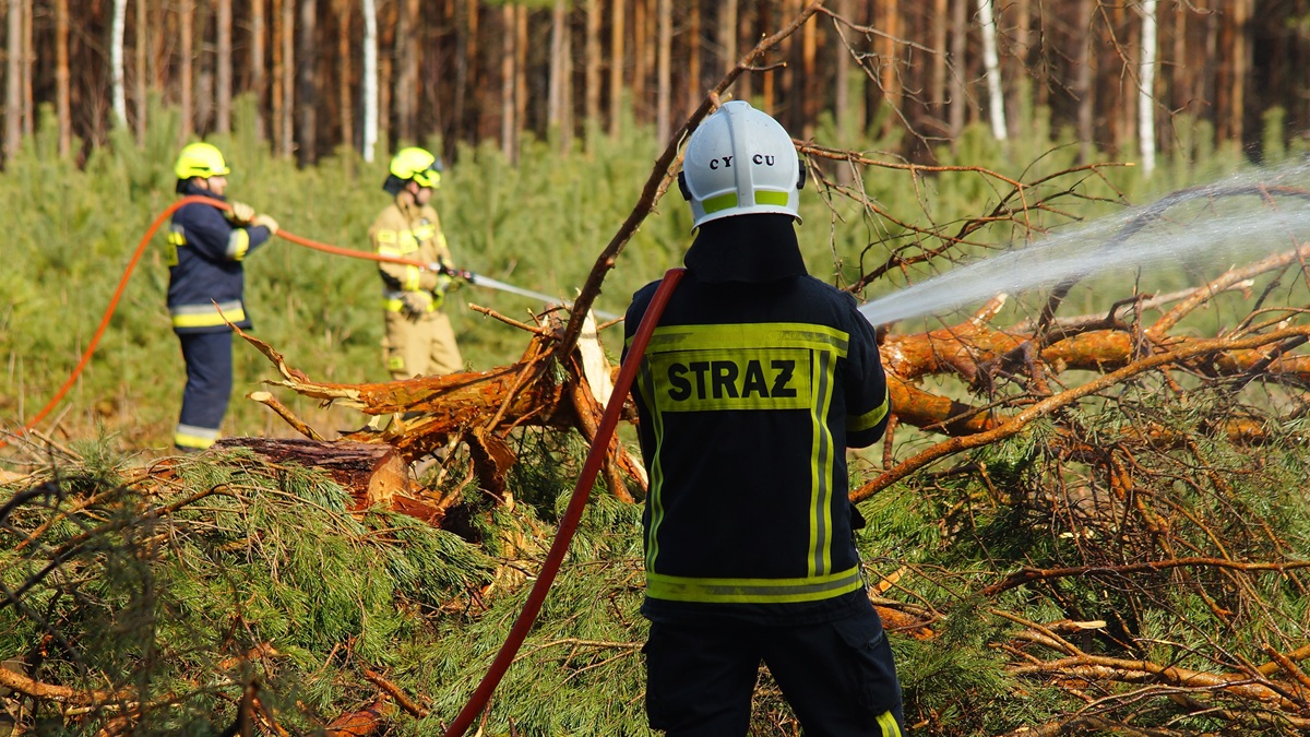 rośnie liczba pożarów