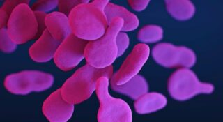 Naukowcy odkryli nieznaną organellę. Hemifusom może zmienić biologię komórki