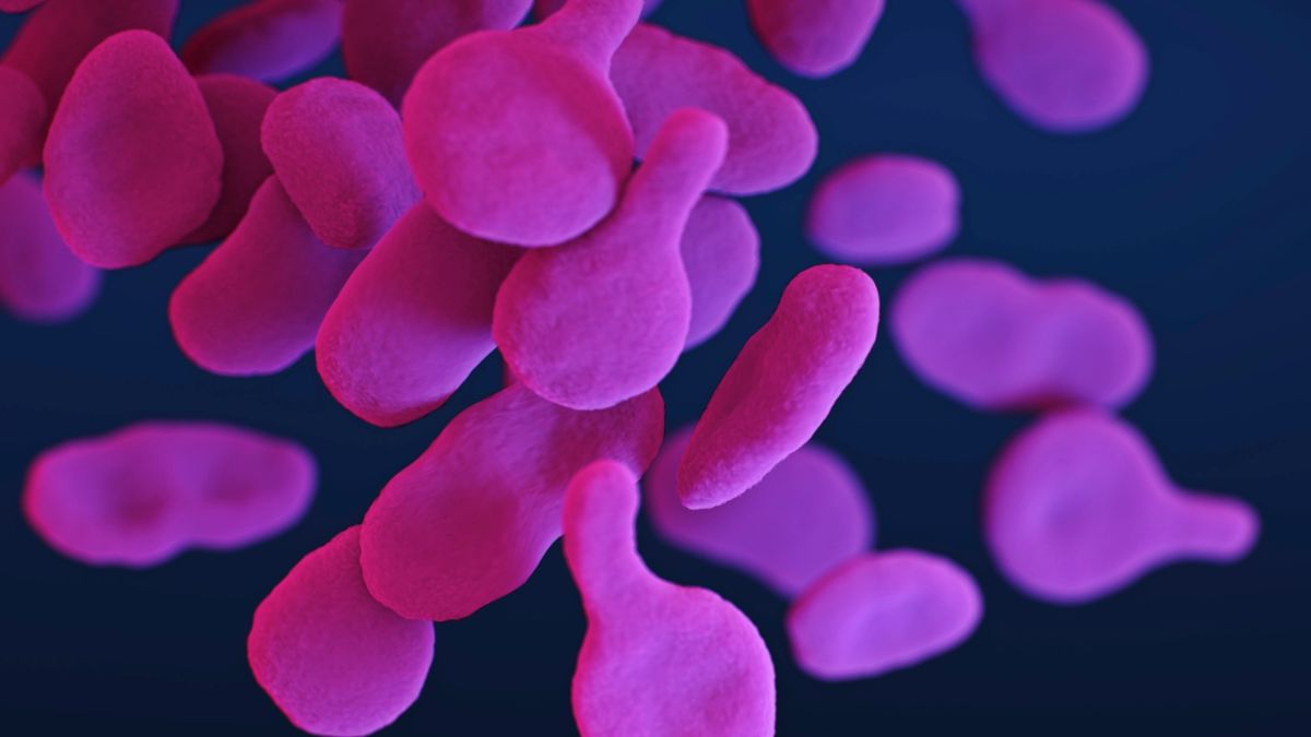 Naukowcy odkryli nieznaną organellę. Hemifusom może zmienić biologię komórki