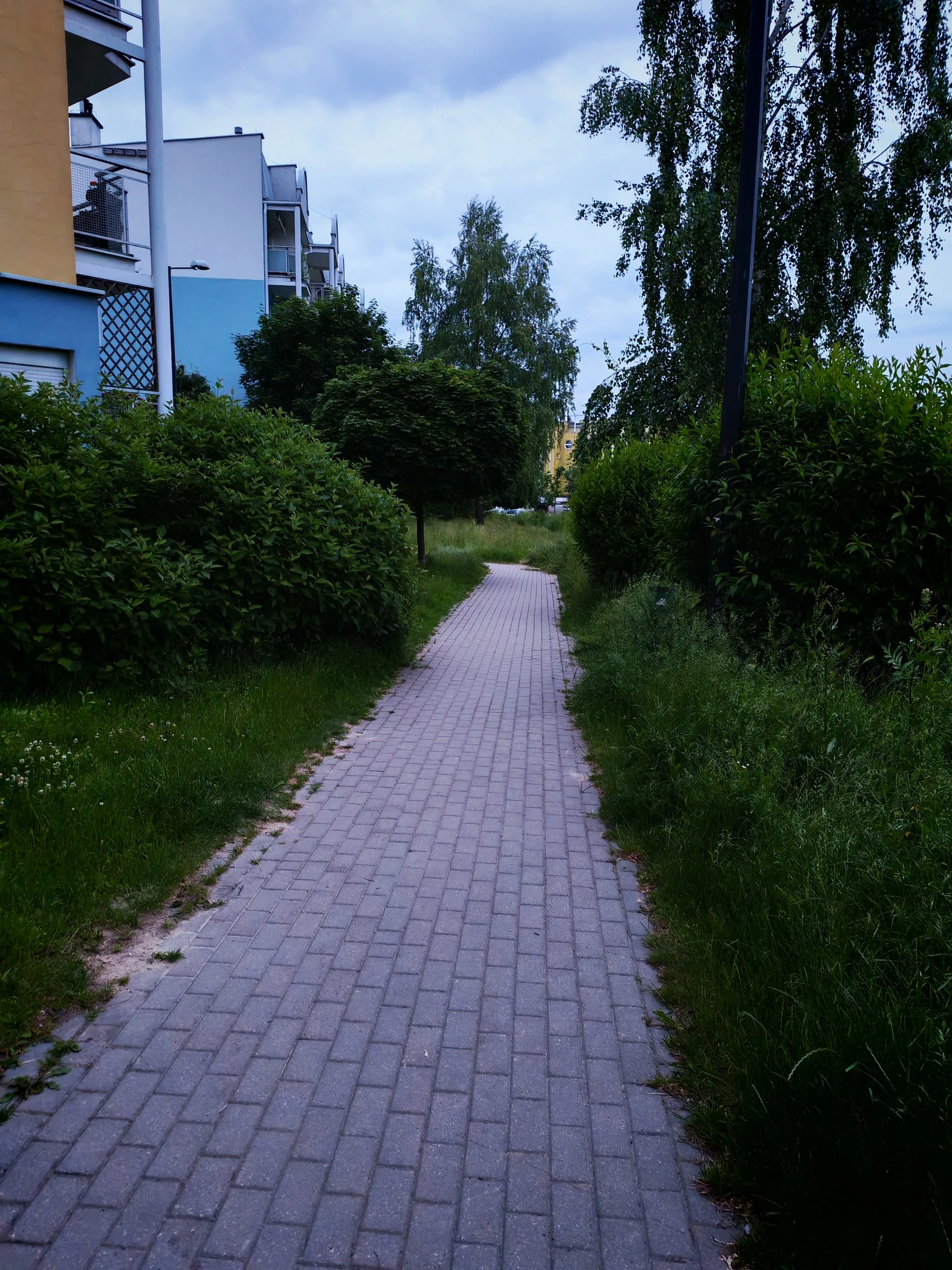 https://cdn-sw.spidersweb.pl/2025/06/honor-400-test-aparat-14.jpg