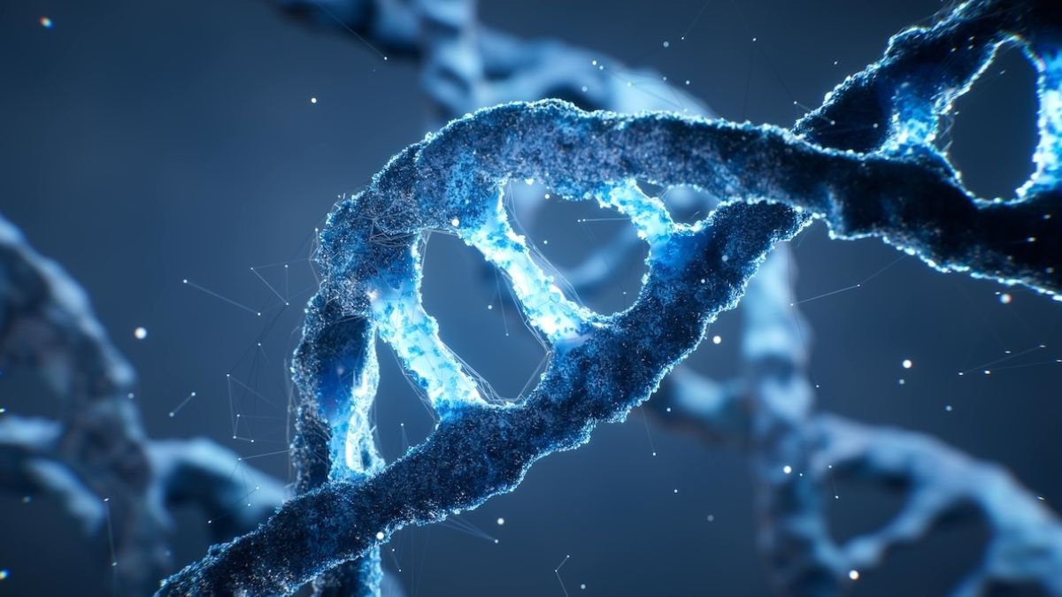 Ludzkie DNA z laboratorium już niedługo