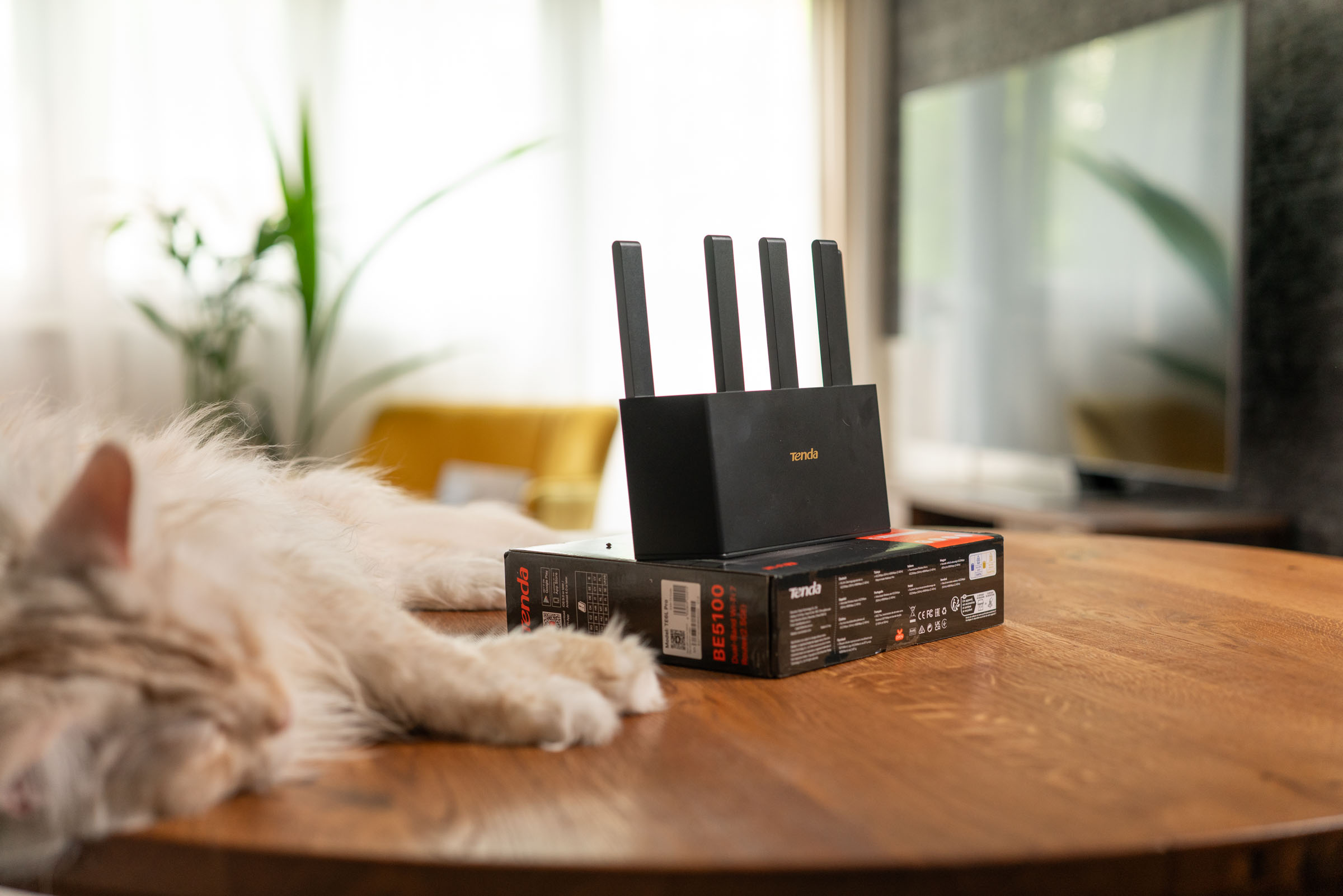 router Tenda TE6L Pro