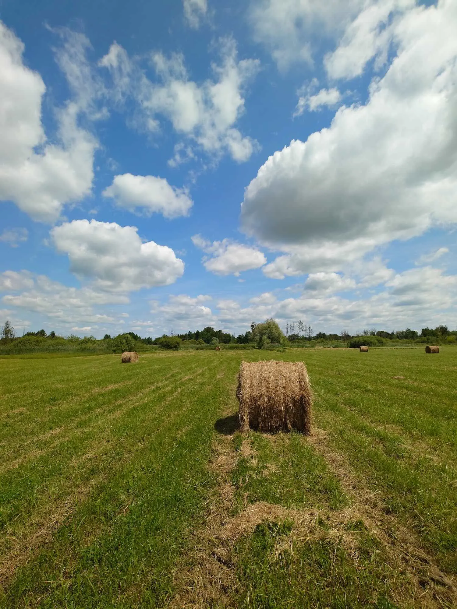 https://cdn-sw.spidersweb.pl/2025/06/sony-xperia-1-vii-16mm-1.jpeg