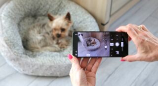Sony Xperia 1 VII