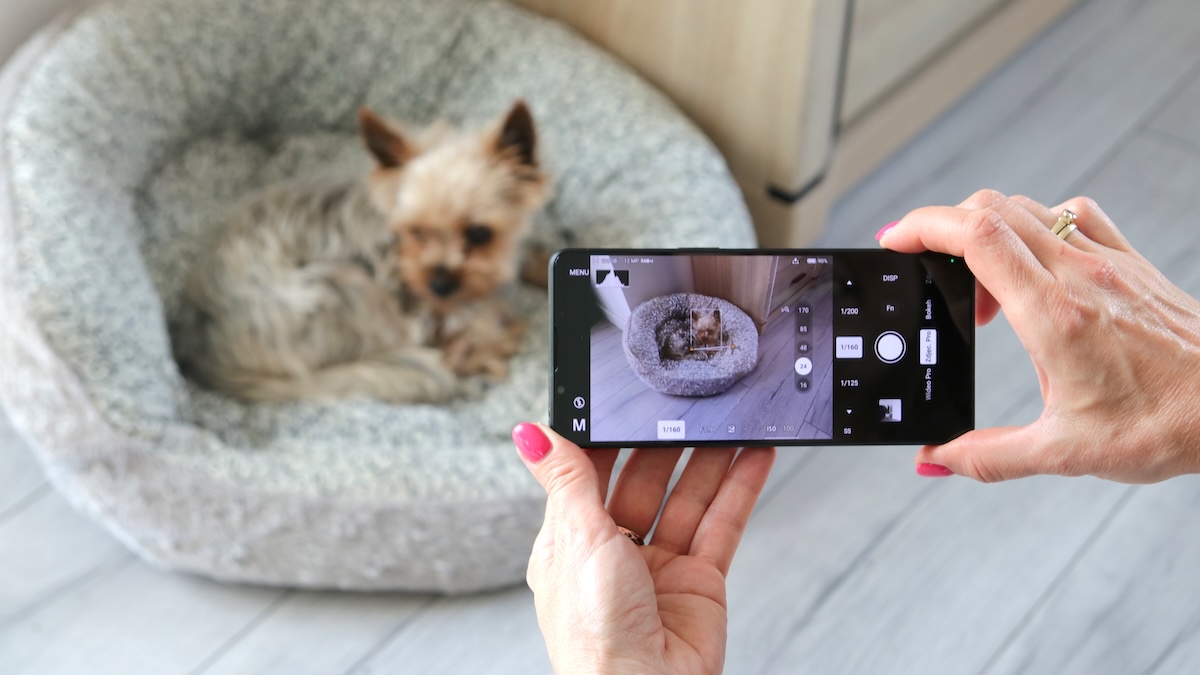 Sony Xperia 1 VII