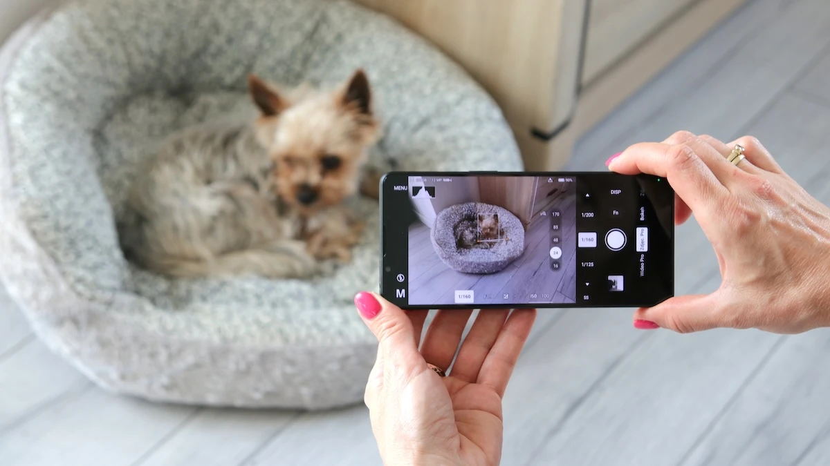 Sony Xperia 1 VII
