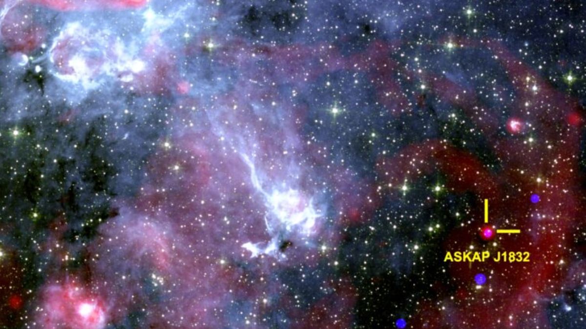 Ten obiekt wysyła regularne sygnały radiowe i rentgenowskie