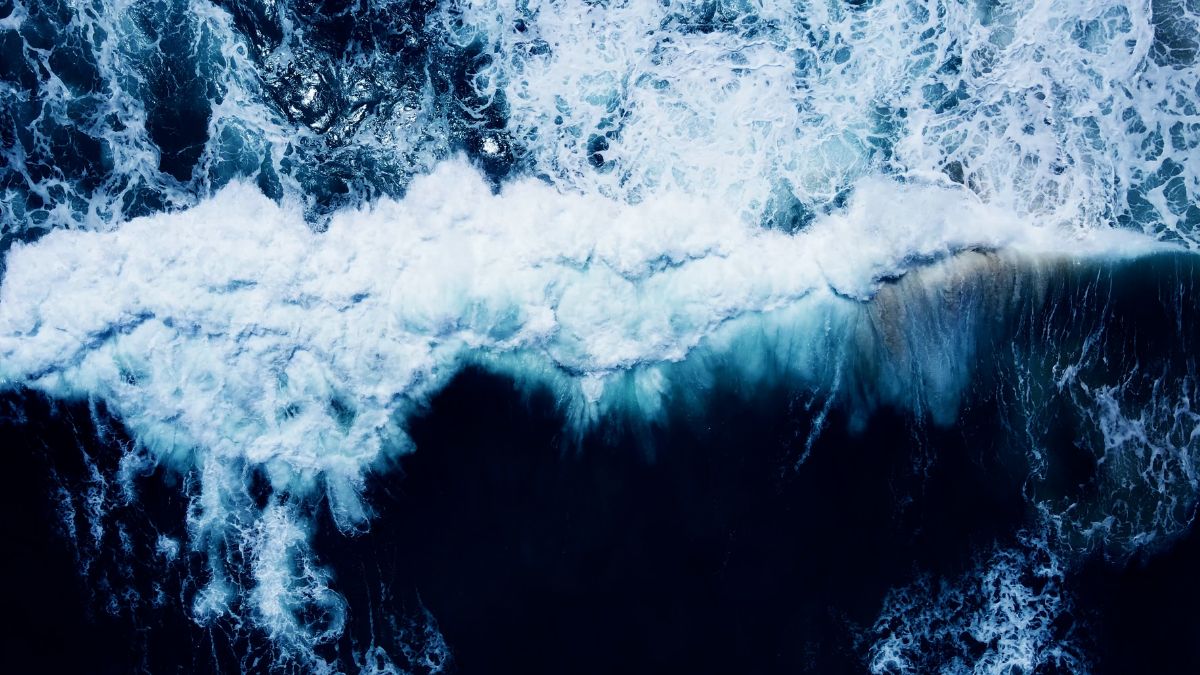 Zmiana koloru oceanów może być dużym problemem