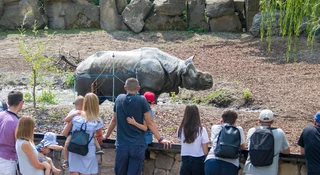Podlatują i straszą zwierzęta. Jest ważny apel ZOO