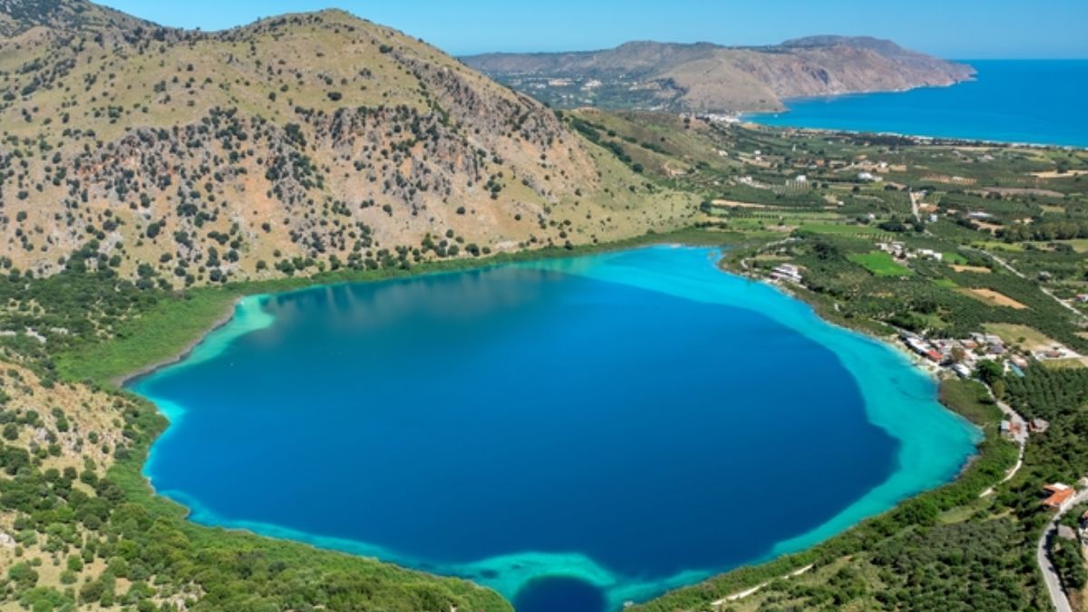 Byliśmy o krok od przepisania podręczników naukowych. Przez bzdurę