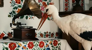 Kilka sekund i masz wideo z muzyką i dialogami. Google Veo 3 już w Polsce