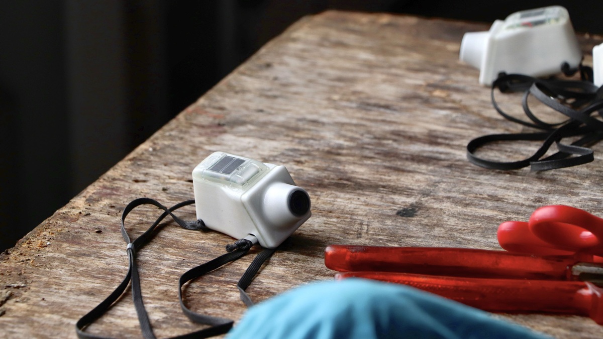 Polacy zawiesili na bocianach kamery. Czegoś takiego nie widzieliśmy