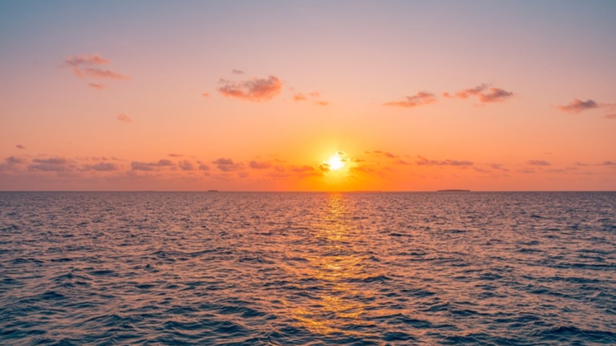Miliony ton nanoplastiku w oceanach. Nowe badania ujawniają skalę zagrożenia