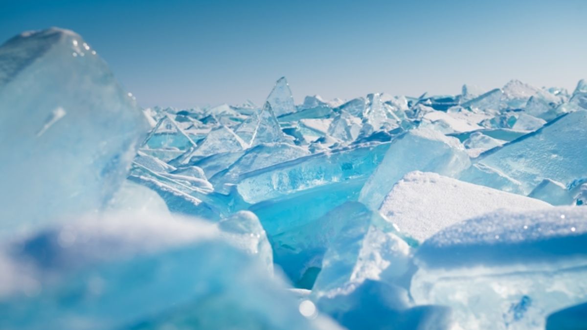 Z Antarktydy do Cambridge. Lód zdradzi sekrety klimatu