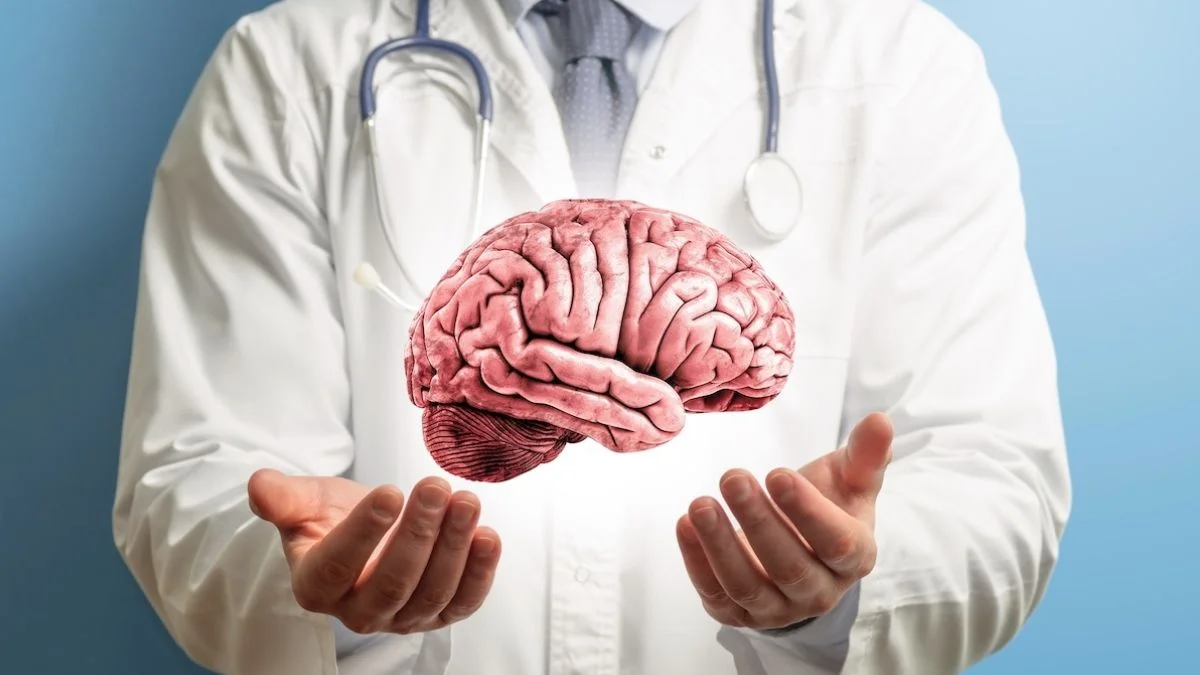 Sztuczne mózgi MRBO wspierają testowanie leków neurologicznych