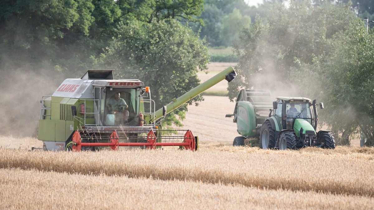 Wyprowadzili się na wieś i mają pretensje do rolników. "To nie sielanka"