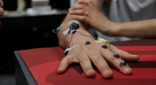 zowie laboratorium