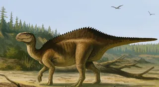 Ten dinozaur szokuje wyglądem. Naukowcy: to efekt ewolucji