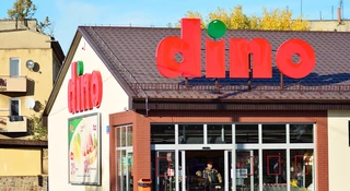 własna aplikacja dino