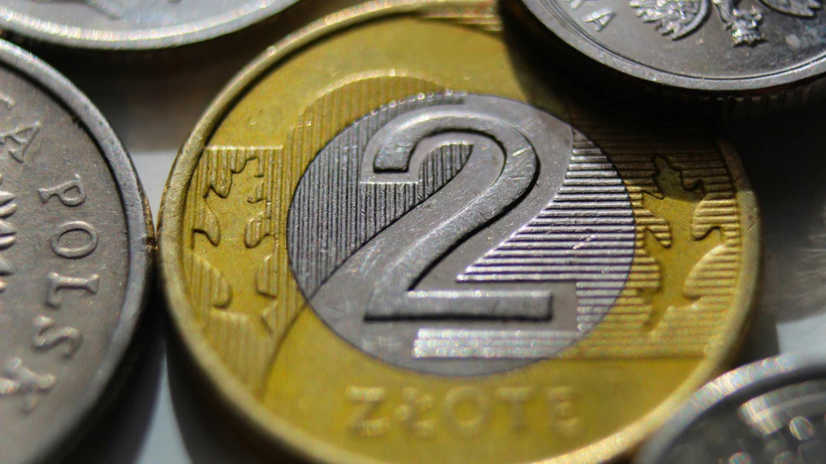 Ekspert od AI dochód gwarantowany 10 tys. dol. na głowę