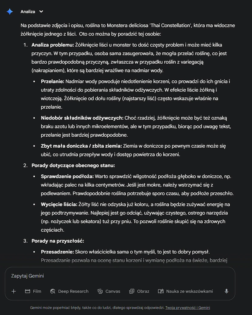 Gemini Pro