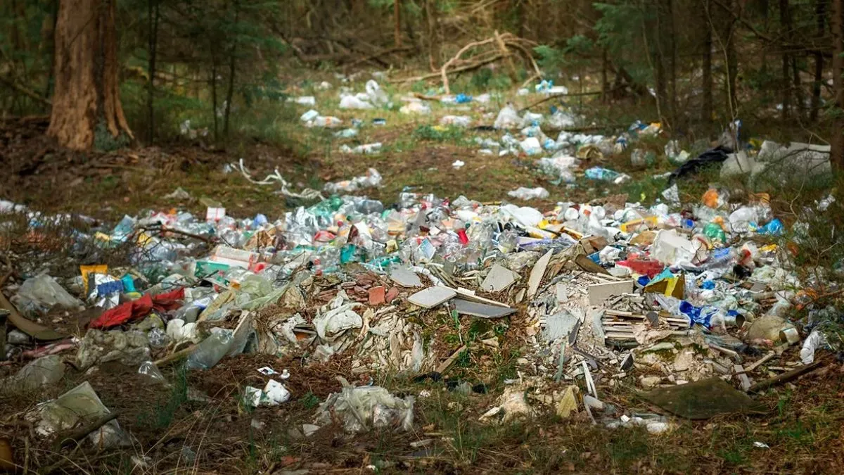 Zamieniliśmy lasy w wysypiska. Rachunek? 34 mln zł!