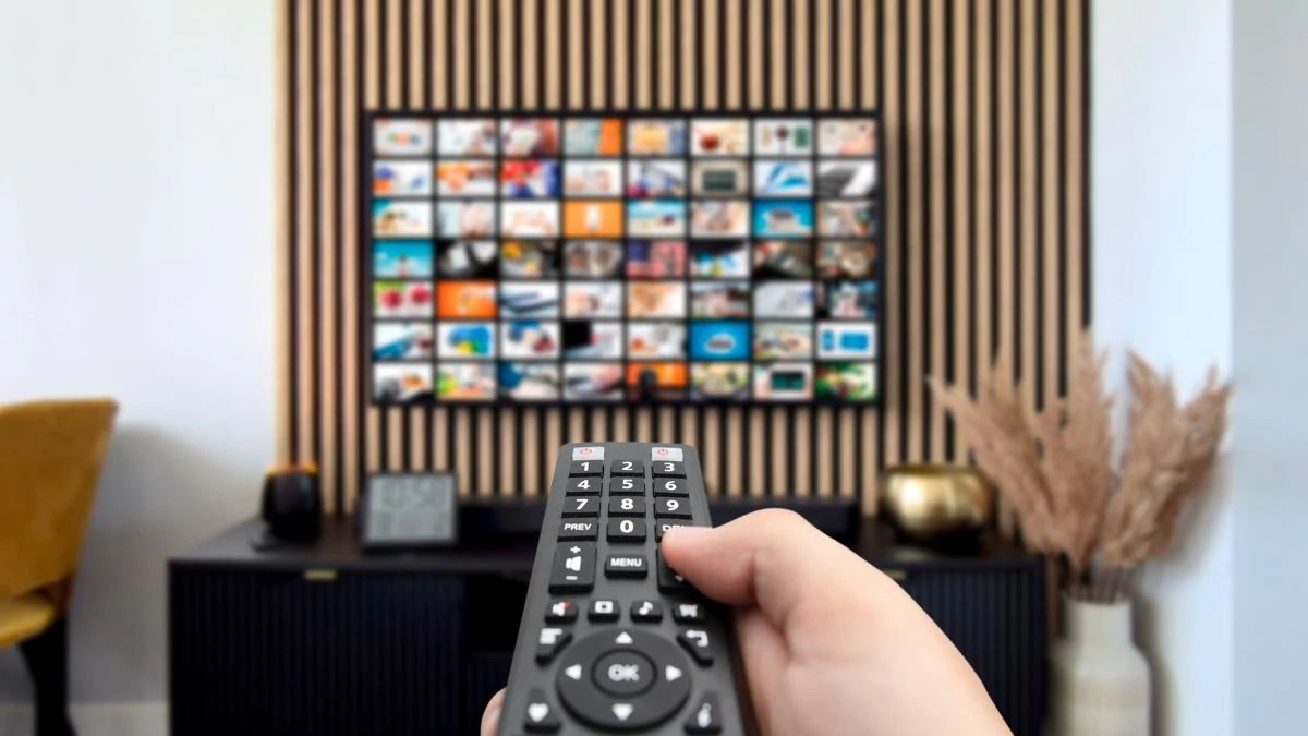 Oglądalność telewizja 2025
