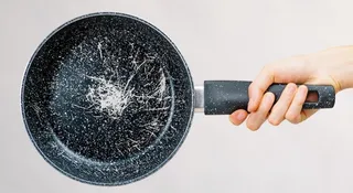 PFAS pod kontrolą mikrobiomu. Przełom w oczyszczaniu organizmu z toksyn