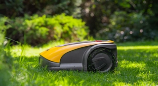 6 miesięcy z robotem koszącym. Przykro mi, wniosek jest jeden
