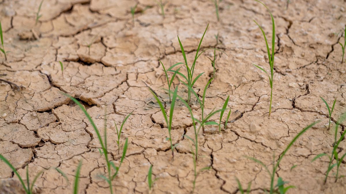 W Mszanie Dolnej zabrakło wody. Następne twoje miasto